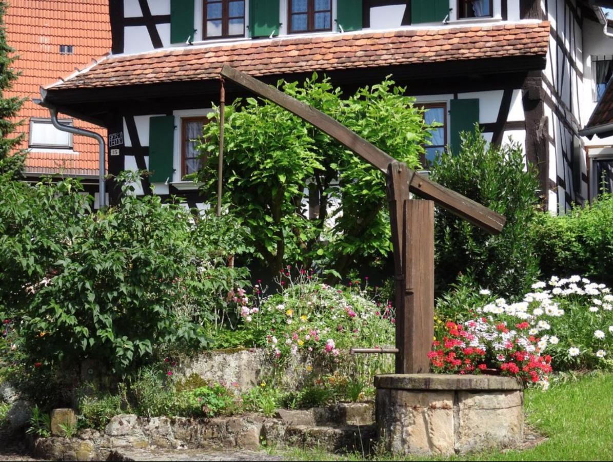 Gites Et Chambres D'Hotes Maison Ungerer Hunspach Exterior foto
