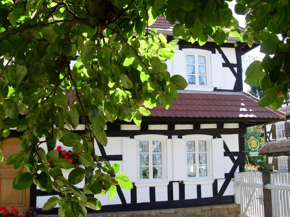 Gites Et Chambres D'Hotes Maison Ungerer Hunspach Exterior foto
